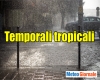 immagine articolo immagine articolo