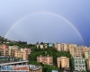 immagine articolo immagine articolo