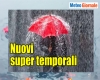 immagine articolo immagine articolo