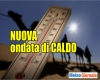 immagine articolo immagine articolo
