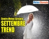 immagine articolo immagine articolo