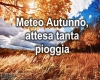 immagine articolo immagine articolo