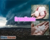 immagine articolo immagine articolo