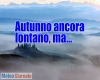 immagine articolo immagine articolo