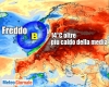 immagine articolo immagine articolo