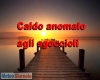 immagine articolo immagine articolo