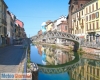 immagine articolo immagine articolo
