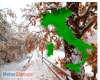 immagine articolo immagine articolo
