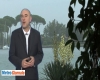 immagine articolo immagine articolo