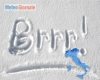 immagine articolo immagine articolo