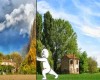 immagine articolo immagine articolo