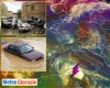 immagine articolo immagine articolo