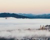 immagine articolo immagine articolo