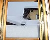 immagine articolo immagine articolo