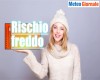 immagine articolo immagine articolo