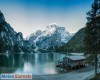 immagine articolo immagine articolo