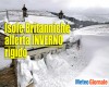 immagine articolo immagine articolo