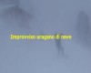 immagine articolo immagine articolo