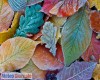 immagine articolo immagine articolo