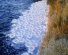 immagine articolo immagine articolo