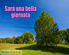 immagine articolo immagine articolo