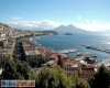 immagine articolo immagine articolo