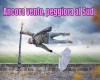 immagine articolo immagine articolo