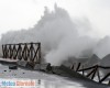 immagine articolo immagine articolo