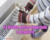 immagine articolo immagine articolo