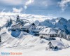 immagine articolo immagine articolo