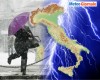 immagine articolo immagine articolo