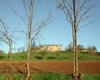 immagine articolo immagine articolo