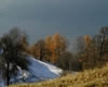 immagine articolo immagine articolo